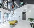 White and black glossy DPS ceiling combined with light lines