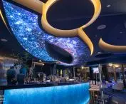 DPS ceiling panel with printing and backlighting