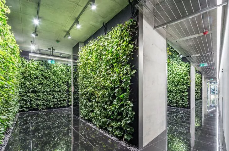 Szucha Premium Offices