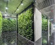 Szucha Premium Offices