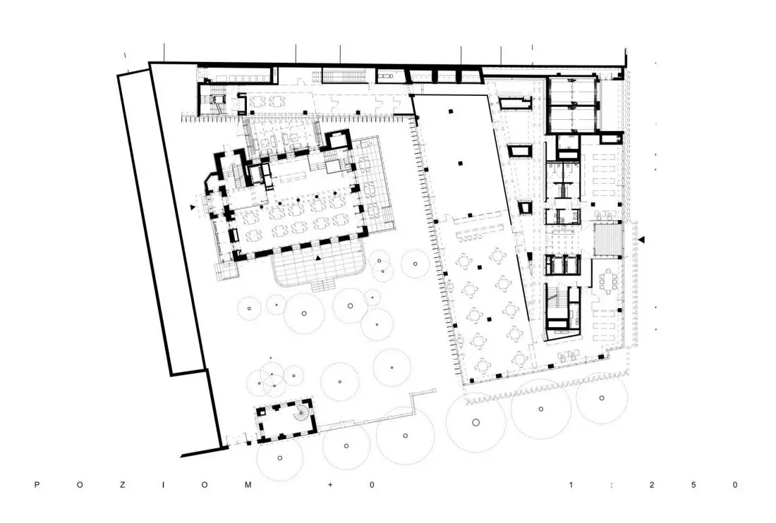 rzut parteru