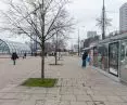 Green Marszalkowska