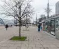 Zielona Marszałkowska