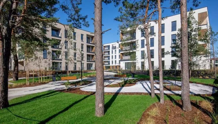 green space between buildings zielona space between buildings