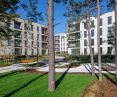 zielona przestrzeń między budynkami