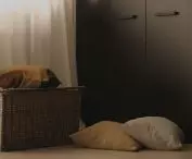 Mieszkanie w Białymstoku, zgaszone kolory