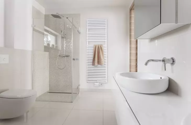 Zehnder