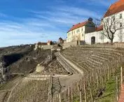 Wycieczka do Znojmo