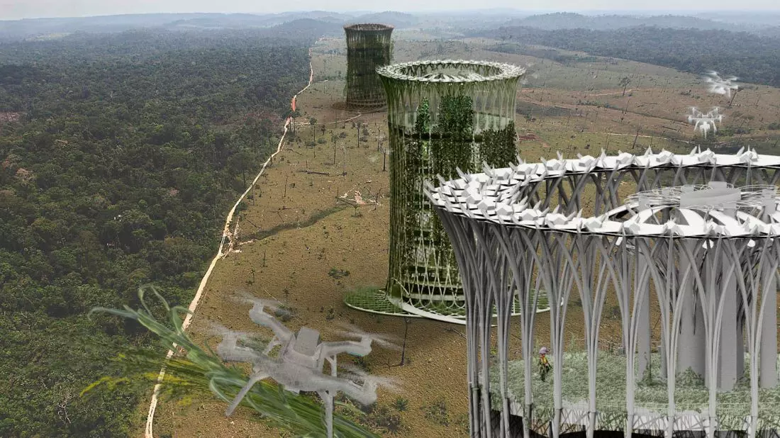 Projekt
reForestation,
wizualizacja
