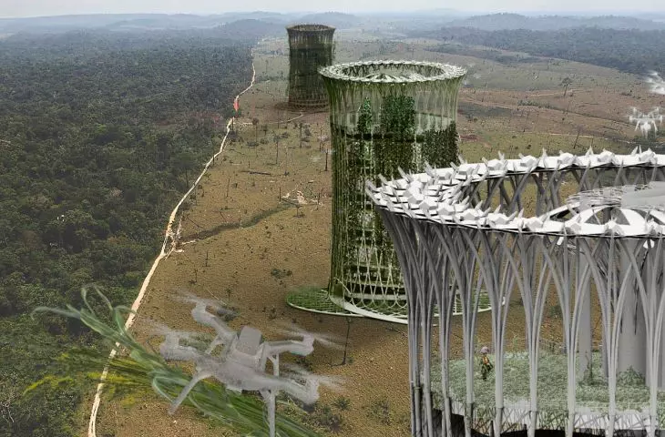 The reForestation project, visualization