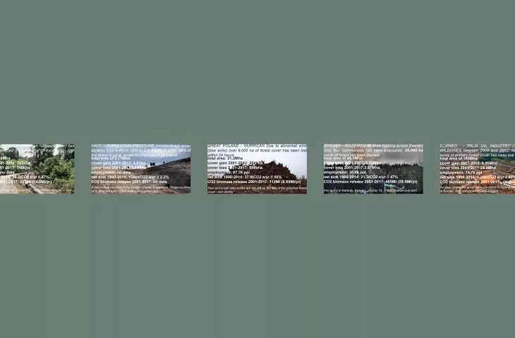 Project reForestation, damage statement