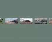 Project reForestation, damage statement