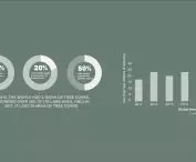 Project reForestation, percentage of deforestation