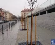 Plac Wolności
