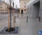 Freedom Square
