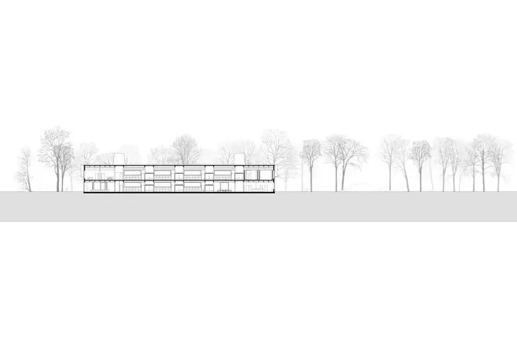 section