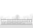 section