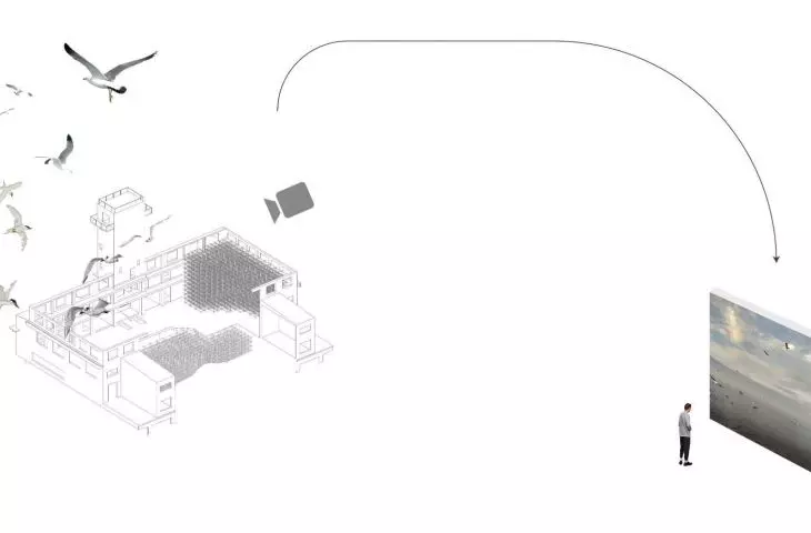 scheme of operation of the ornithological observatory