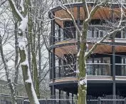 Villa Reden skryta za drzewami