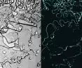 Inspiration - tears in microscopic view