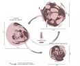 Alternative world of human tears, project zones