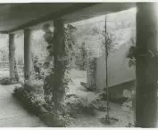 Single-family house, 33a Kielecka Street, 1934, design: Romuald Gutt, garden: Alina Scholtz
