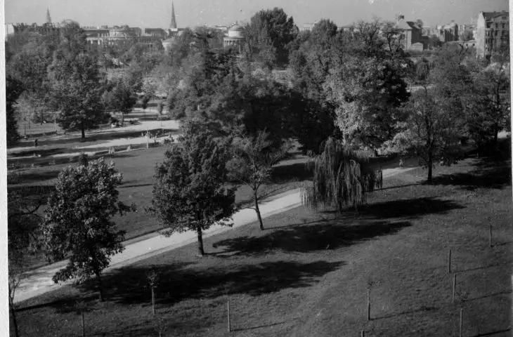 Ogród Saski, widok ogólny, 1950