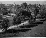 Ogród Saski, widok ogólny, 1950