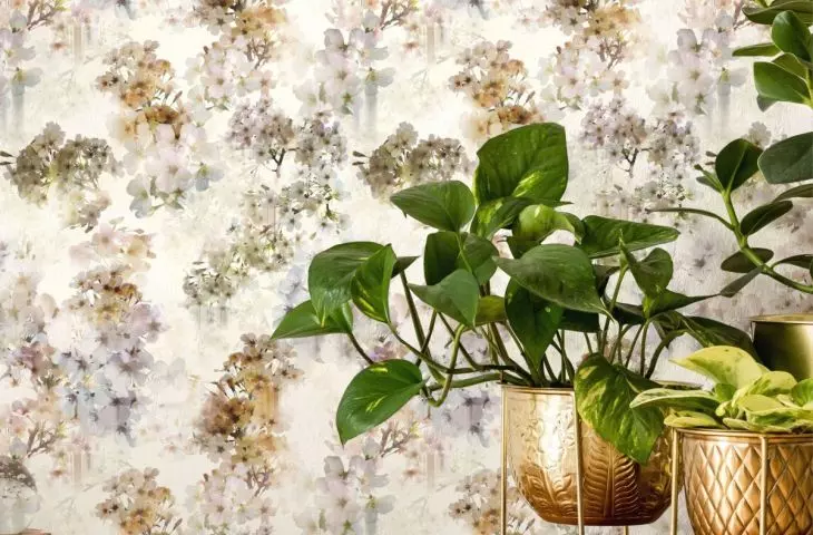 proj.: Ted Baker London
