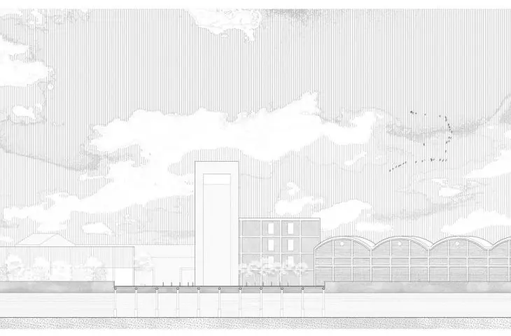 section