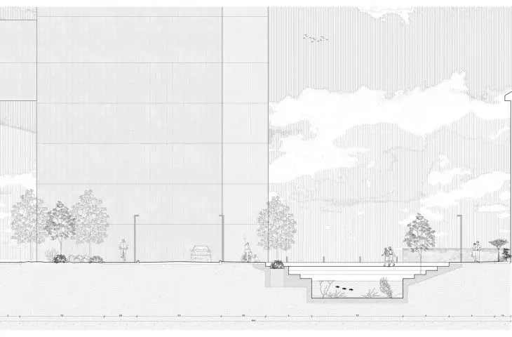 section
