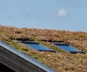 Green roof with windows 