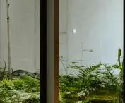 green patio creates a unique, intimate atmosphere