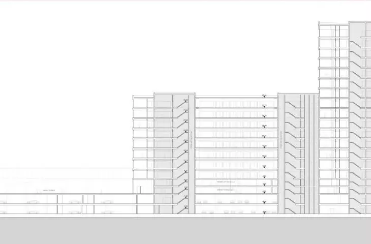 section