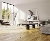Oak Salon, 2nd place, 2019