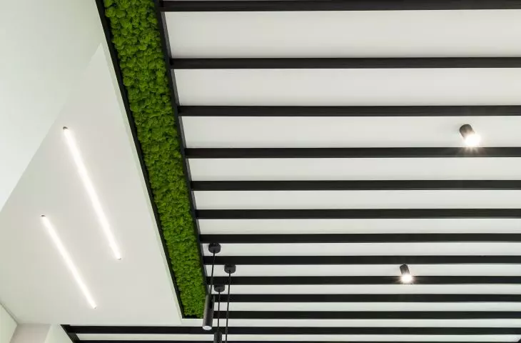 Moss-covered ceiling