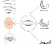 Cinema of the future in Lodz, cinema audience diagram