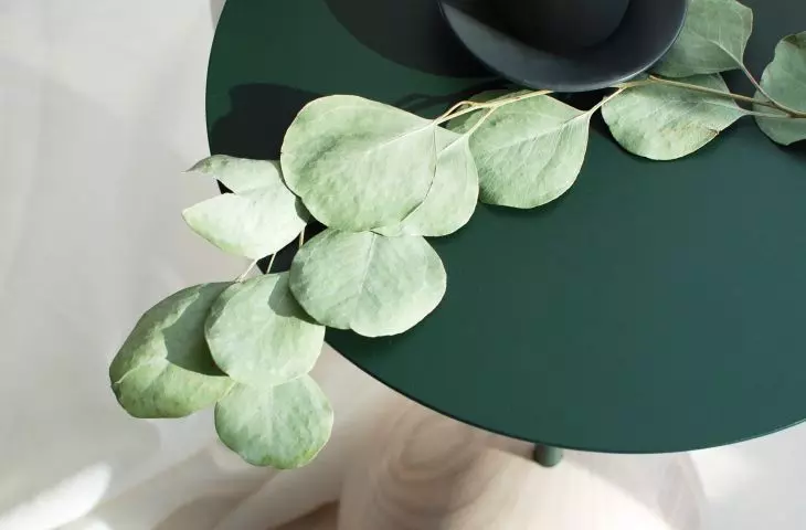 SU table with green top