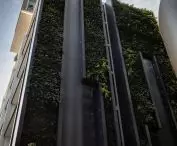 A wall with a waterfall in Sydney