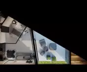 Wildcat house, floor plan and interior visualization