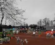 Wirecko Rally, space around the monument