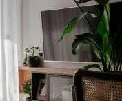 part of the living room