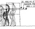Modulor - three growth options: 