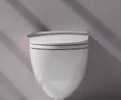 Laufen washing toilets