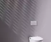 Laufen washing toilets