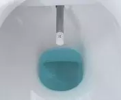 Laufen washing toilets
