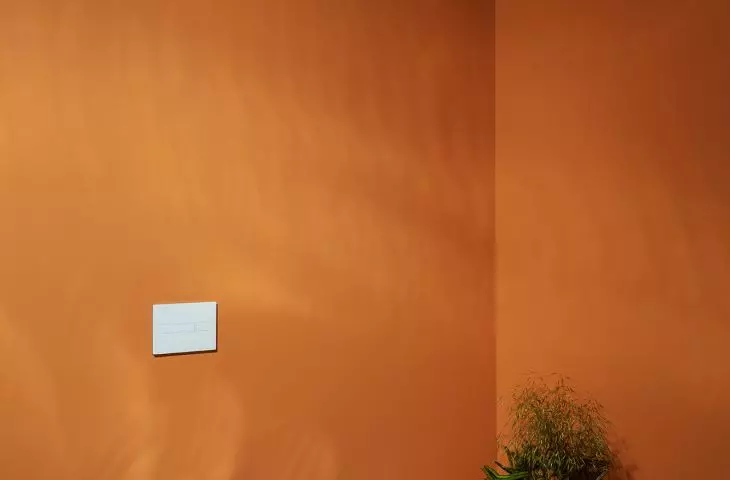 Laufen washing toilets