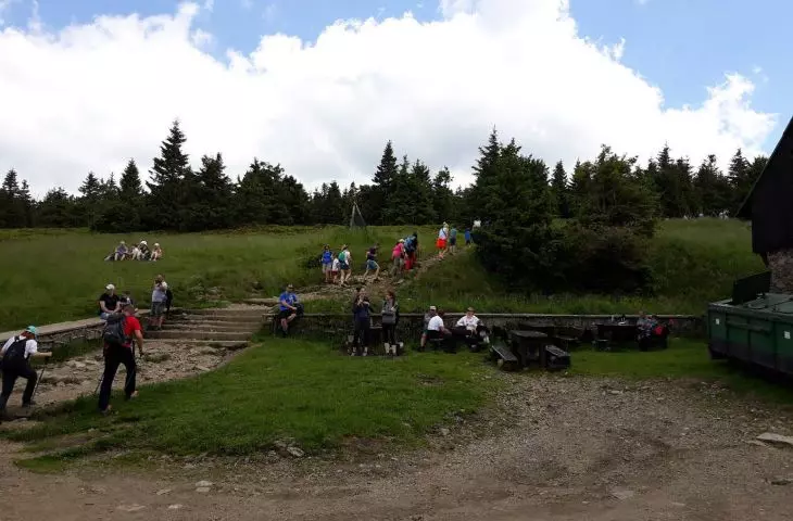 przy schronisku