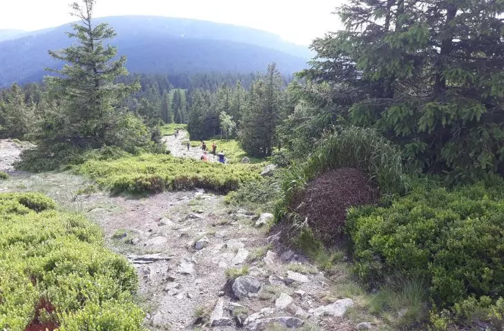 widok na Mały Śnieżnik