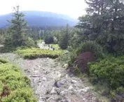 widok na Mały Śnieżnik